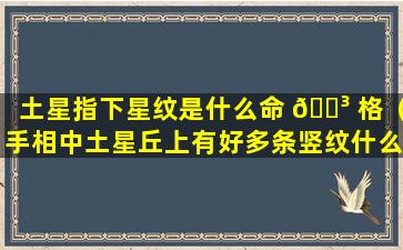 土星指下星纹是什么命 🐳 格（手相中土星丘上有好多条竖纹什么,意思）